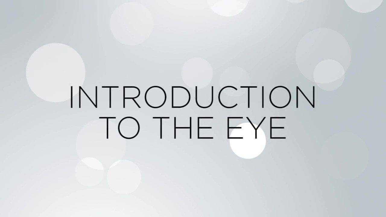 Introduction To The Eye
